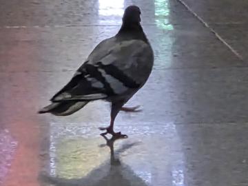 minchan jeong profile photo