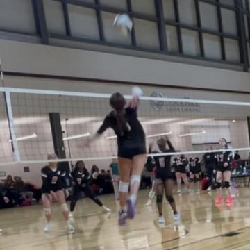 Avery Muir profile photo