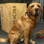 Matt Christ profile photo