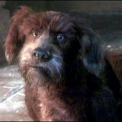 Aaron Micko profile photo