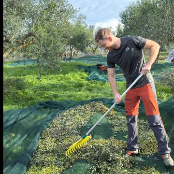 Danilo Schleissing profile photo