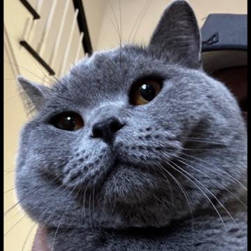 Samuel Heda profile photo