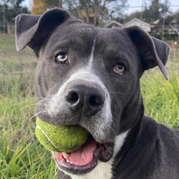 Lance Kelly profile photo