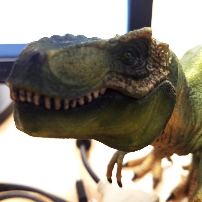 Marta Nicolelli profile photo