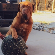 Dereck Tharp profile photo