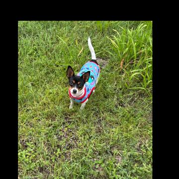 Aleshya Hunt profile photo