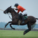 Emma Beardshaw profile photo