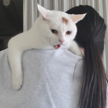 Eunsol Kim profile photo