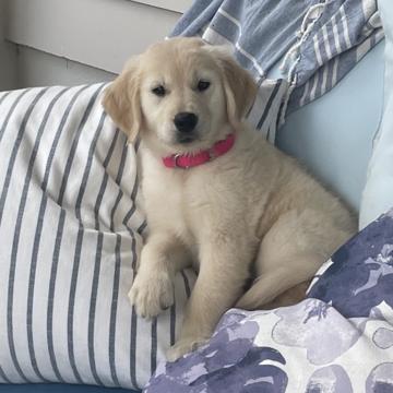 William Ford profile photo