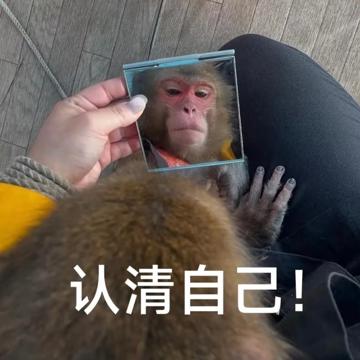 Labby Xue profile photo