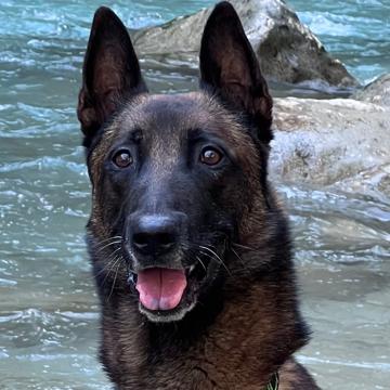 Caroline MEUNIER profile photo