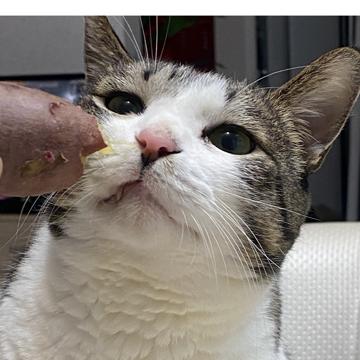 seoyeon kim profile photo