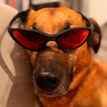 Franco de Lima profile photo