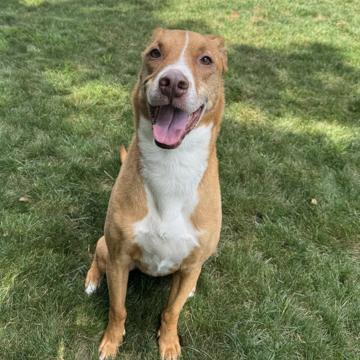 Jimmy Garrison profile photo