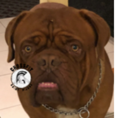 Mussard Joanna profile photo