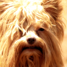 Jessica Nicoleen Kruger profile photo