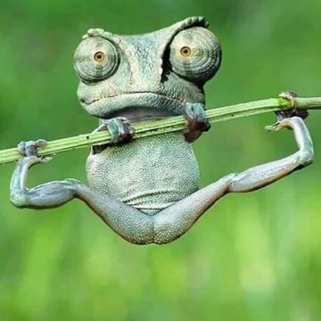 Mael Beguec profile photo