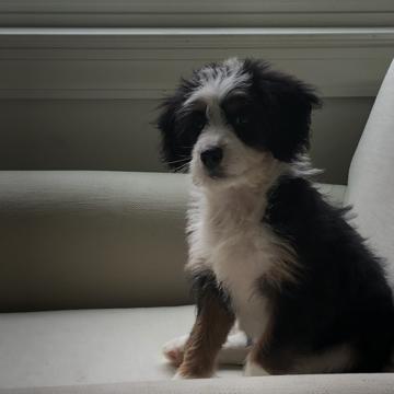 Christian Brown profile photo