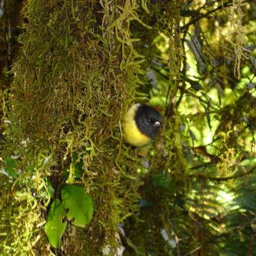 Janette Tourney profile photo