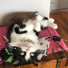 Ruth Grills profile photo