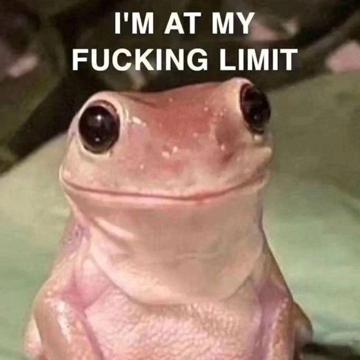 Gaëtan Zürcher profile photo