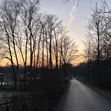 Ida Wall profile photo