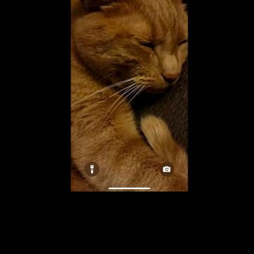 Kaila Bloemers profile photo