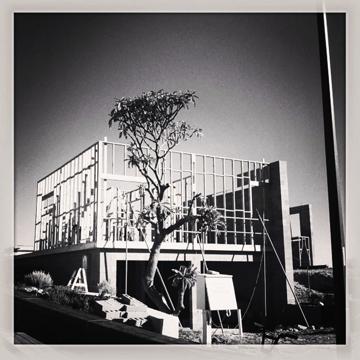 Ella Bosma profile photo