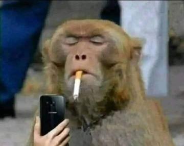 Dalvan Mariano dos Santos profile photo