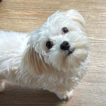 Aderruan Tavares profile photo