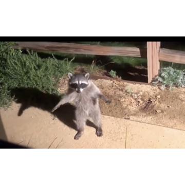 Kyle Clarke profile photo