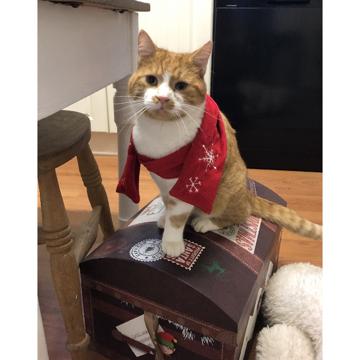 Sarah Powdrill-Wells profile photo