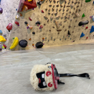 ChiaLing Jiang profile photo