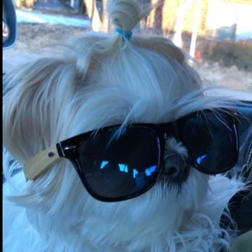 Chris Yoo profile photo