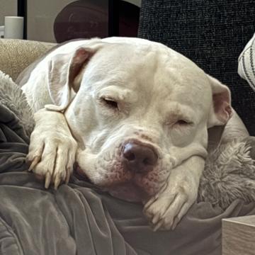 Gabe Fitzpatrick profile photo