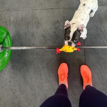 Sophie Morales profile photo