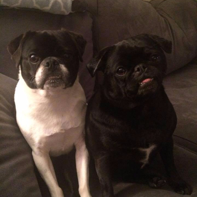 Lisa Gruttadauria profile photo