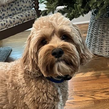 Jack McCormack profile photo