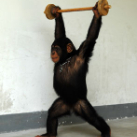 Artan Hasani profile photo