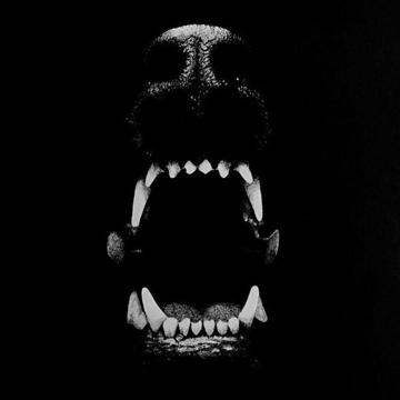 Alisson Siqueira profile photo