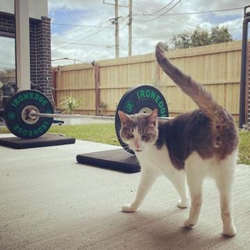 Chelsea Bell Whittle profile photo