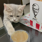 Tashana Macasa profile photo