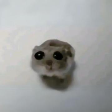 Pietro Anderloni profile photo