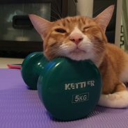 Sybil Yeung profile photo