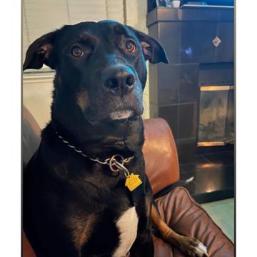 Carrie Fannin profile photo