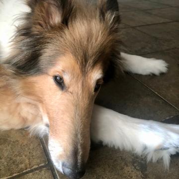 John Laning profile photo