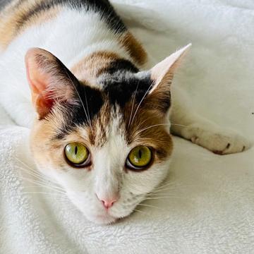 Marielle Debbas profile photo