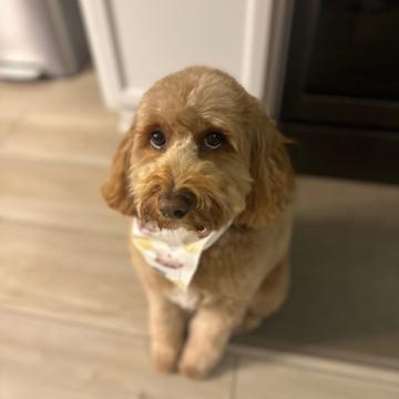 Teresa Jury profile photo