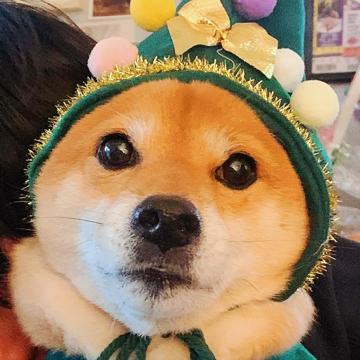 Ba Guan profile photo