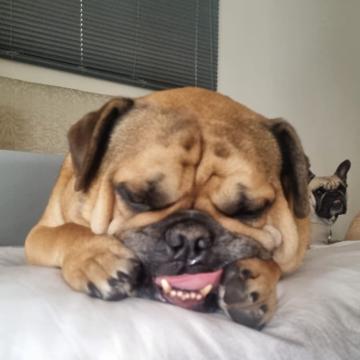 Bianca-Lee Grossett profile photo